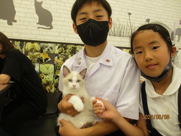写真