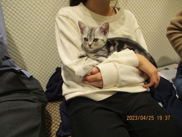 写真