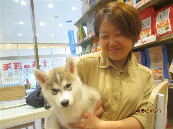 写真