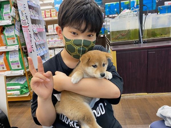 写真
