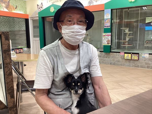 写真