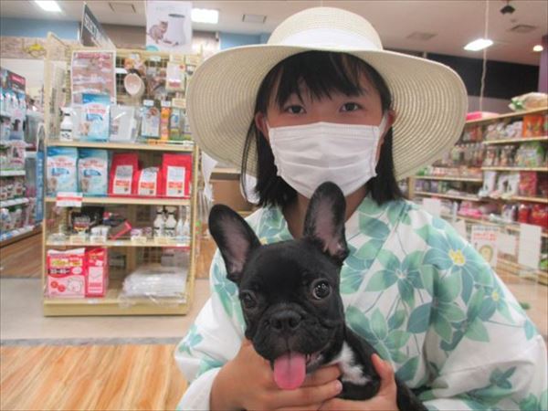 写真