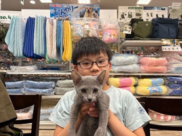 写真
