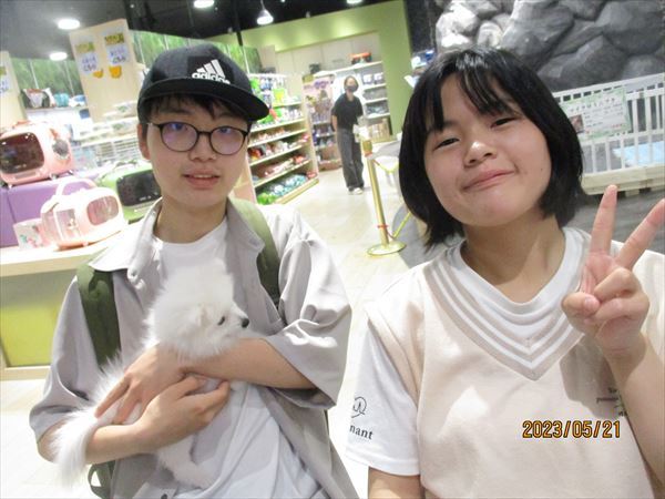 写真