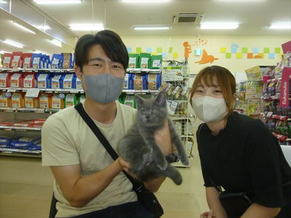写真