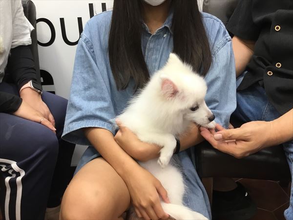 写真