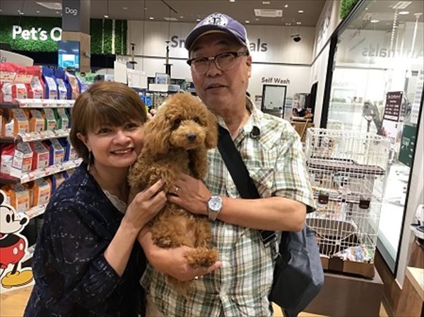 写真