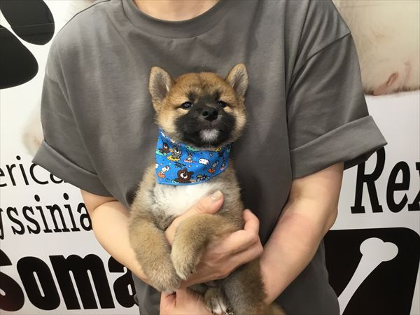 写真