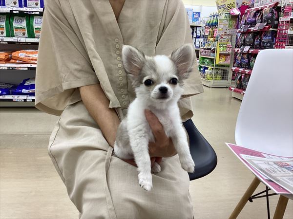 写真