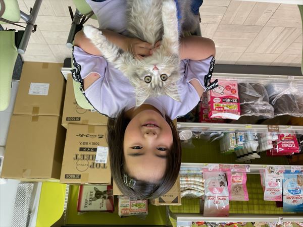 写真