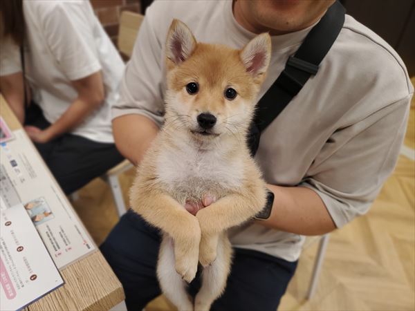 写真
