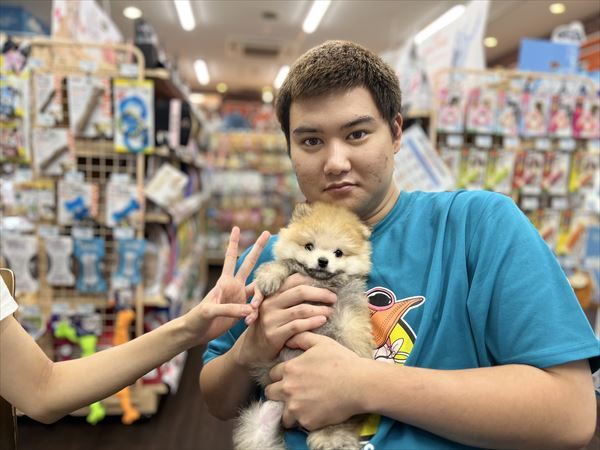 写真