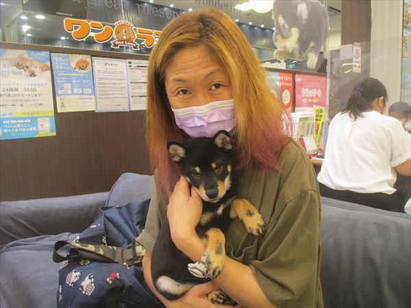 写真