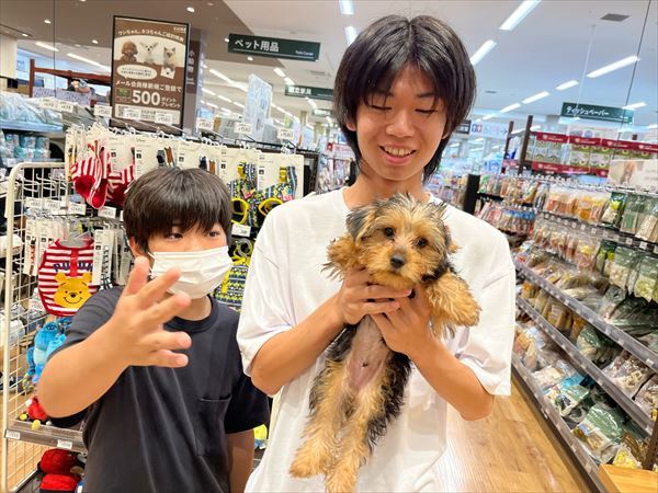 写真