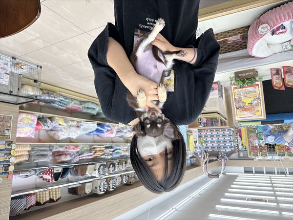 写真