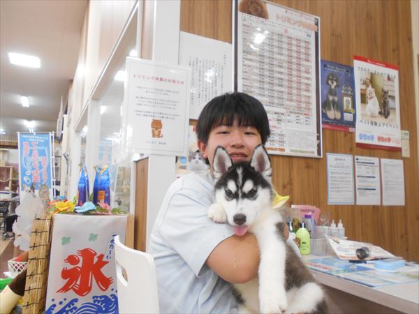 写真