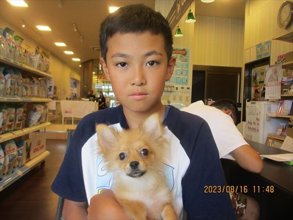 写真
