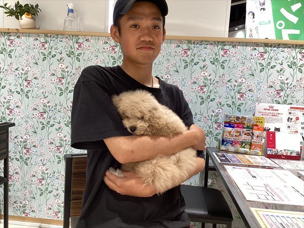 写真