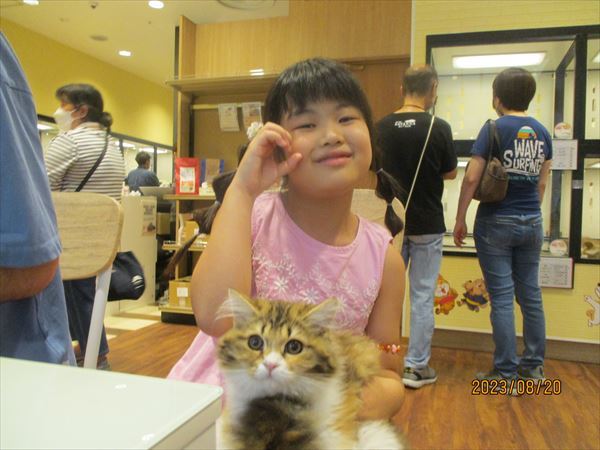 写真