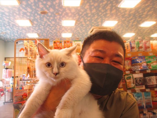 写真