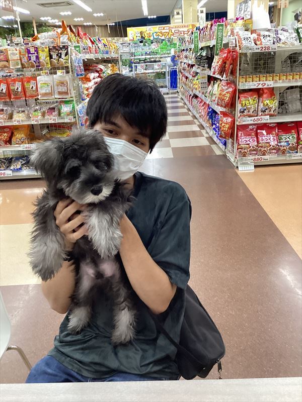 写真