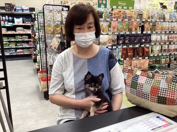 写真
