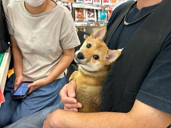写真