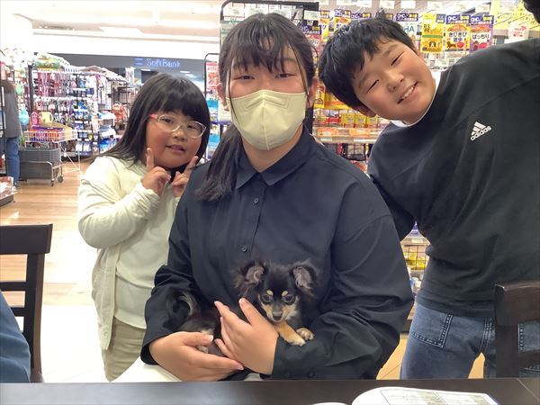 写真
