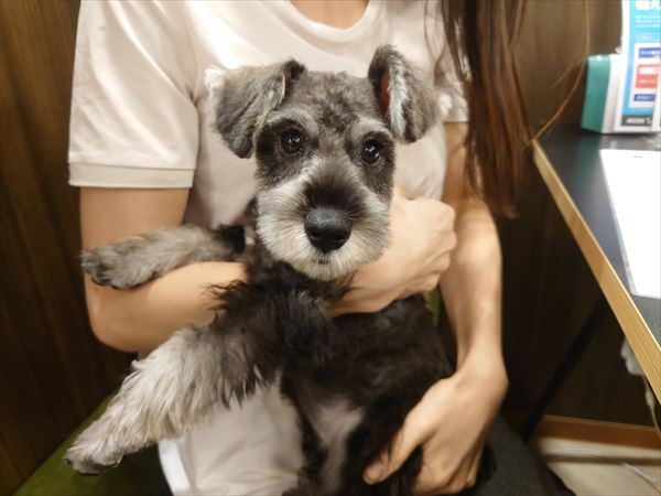 写真