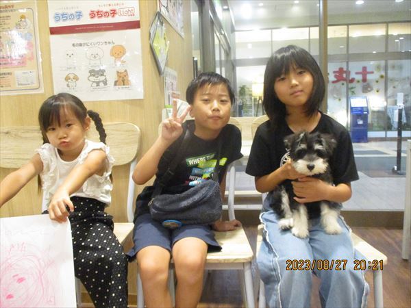 写真