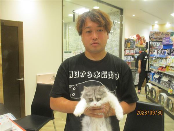写真