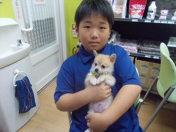 写真