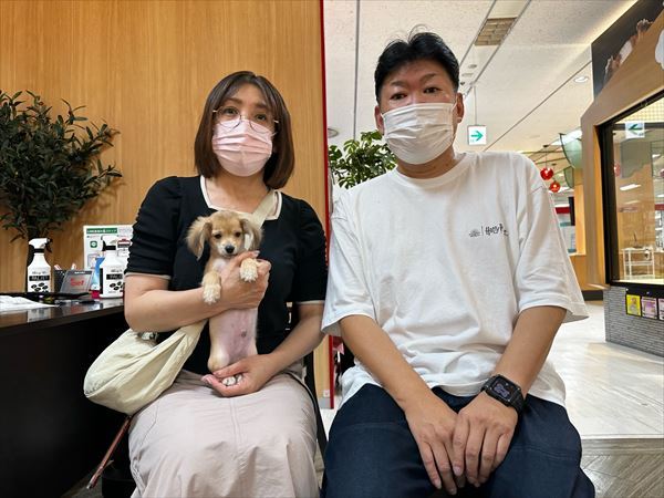 写真