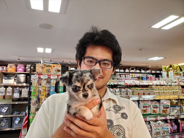 写真