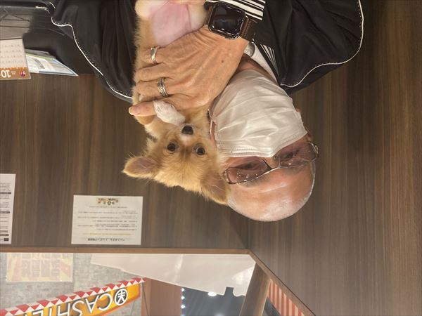 写真