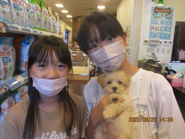 写真