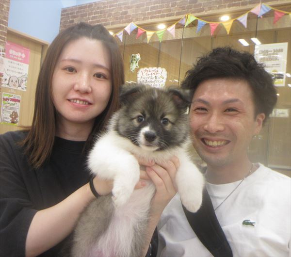 写真