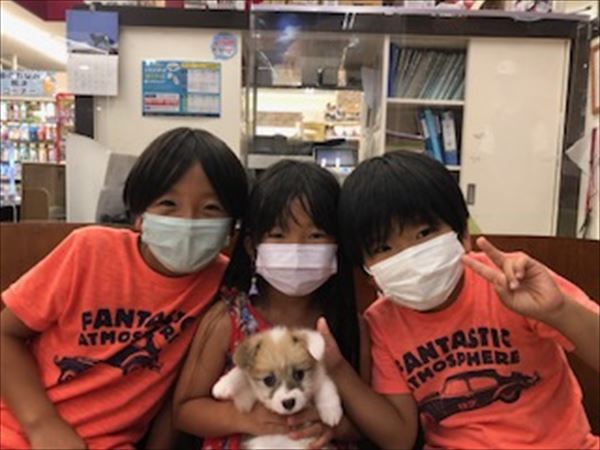 写真