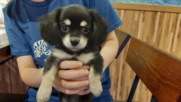 写真