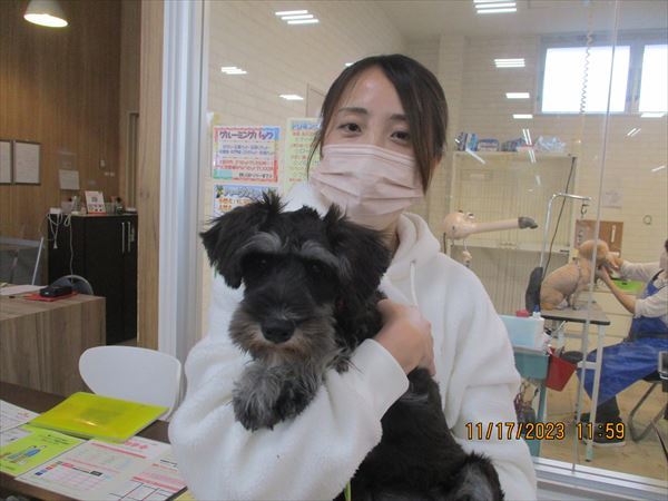 写真