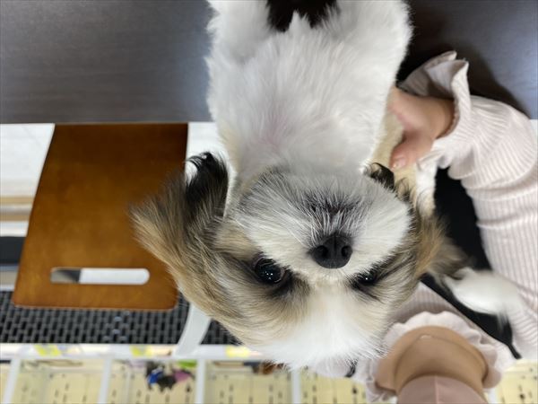 写真