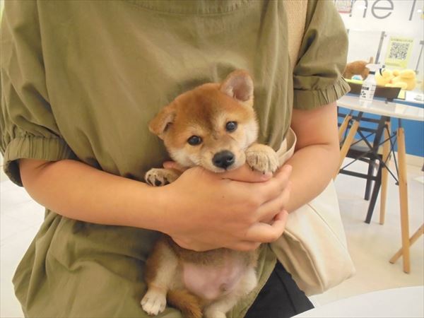 写真