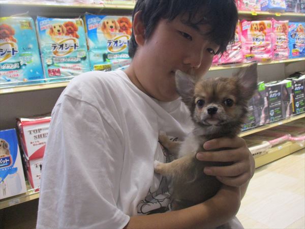 写真