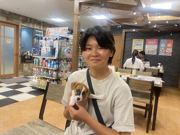 写真
