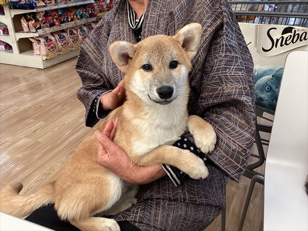 写真
