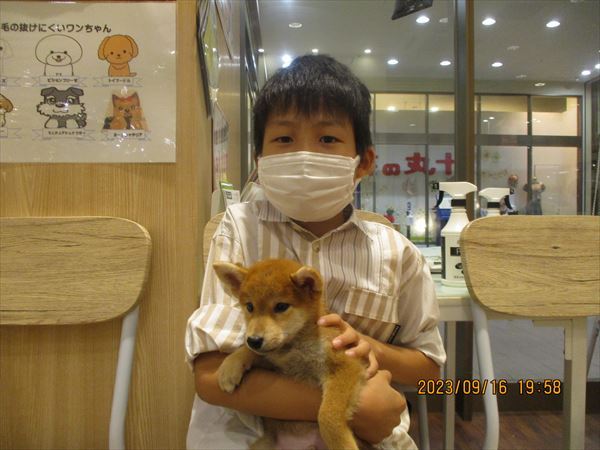 写真
