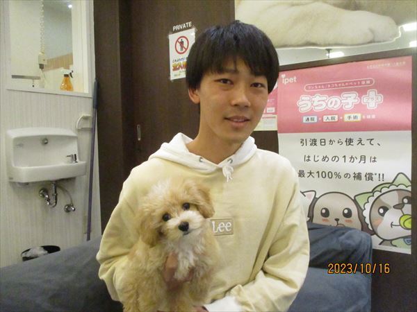 写真