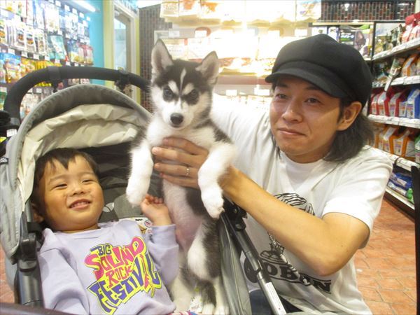 写真