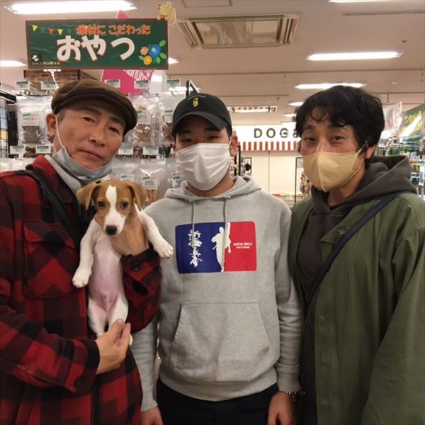 写真