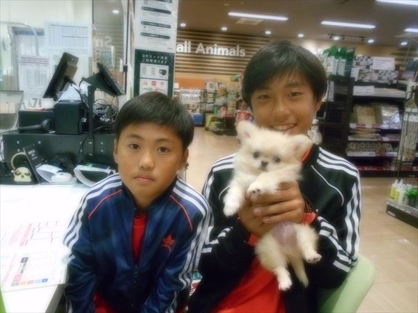 写真